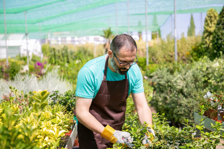 Quanto costa un giardiniere a Milano?